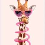 Girafe funky