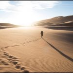 Solitude dans les dunes