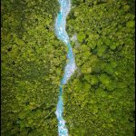 L'Oasis de la Forêt