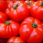 Tomates rouges juteuses et brillantes