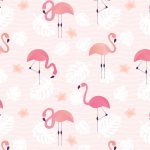 Flamants roses